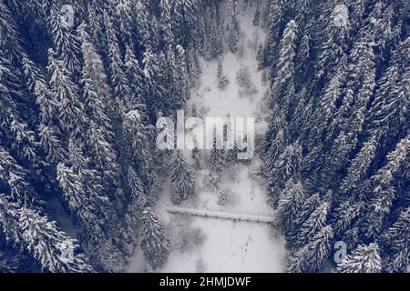 Sommets enneigés et forêt de conifères. Magnifique forêt d'hiver dans les montagnes. Paysage de montagne. Banque D'Images