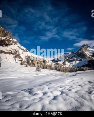 Vue panoramique sur le paysage suisse enneigé, avec montagnes et arbres en arrière-plan Banque D'Images