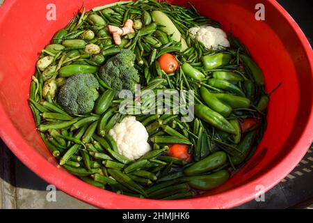 Seau plein de fruits comme bhindi, tomate, piments verts, chou-fleur, brocoli, ladyfingers trempés dans l'eau pour nettoyer et laver avec soda pour di nettoyé Banque D'Images