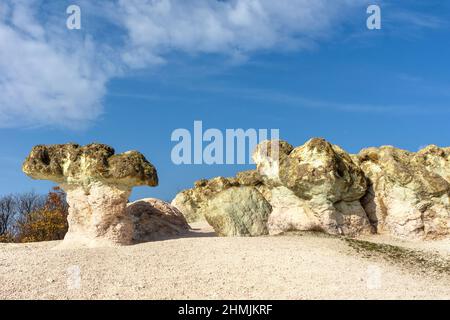 Le phénomène naturel les champignons de pierre est situé dans la montagne Rhodopi, Bulgarie Banque D'Images