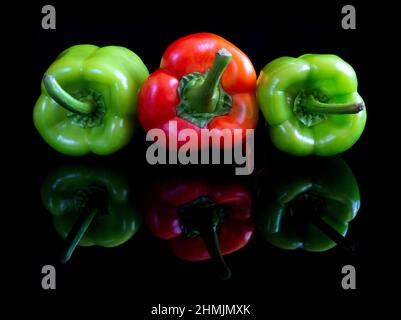 Pappers rouges et verts sur fond de studio réfléchissant noir Banque D'Images