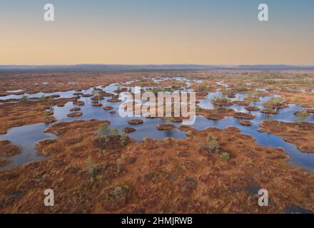 Marais Yelnya dans le paysage d'automne. Mére sauvage de Biélorussie. Marécages et tourbières d'Europe de l'est. Réserve écologique dans la faune. Marais à la nature sauvage. Banque D'Images