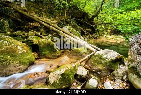 Rivière de montagne. Côte d'automne. Banque D'Images