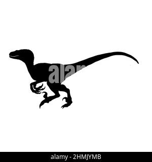 silhouette de raptor, illustration noire pour tatouage Banque D'Images