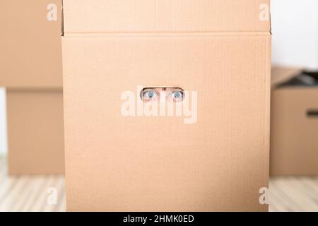 Garçon se cachant dans une énorme boîte en carton. Il joue et joue à travers un trou dans la boîte. Un enfant est heureux de s'installer dans une nouvelle maison. Banque D'Images