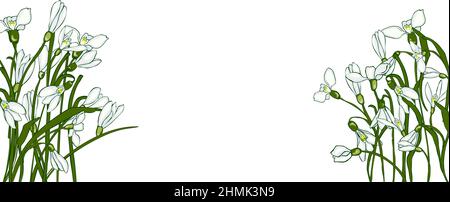 Motif printanier de gouttes de neige fraîches sur fond blanc avec espace pour le texte. Carte horizontale avec les premières fleurs de printemps. Parfait pour les invitations, Illustration de Vecteur