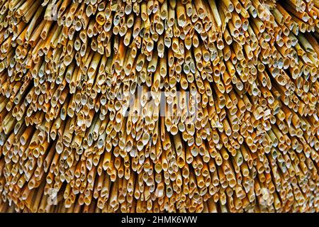 Fond de texture naturelle, paille Banque D'Images