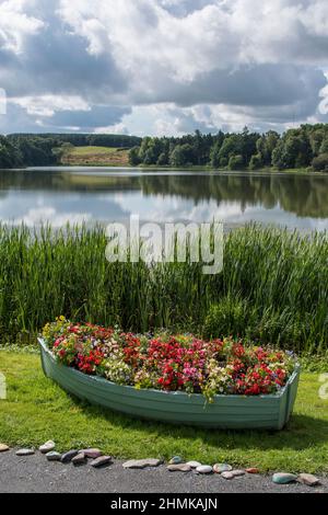 Bateau à rames plein de fleurs, Haining Loch, Selkirk Banque D'Images