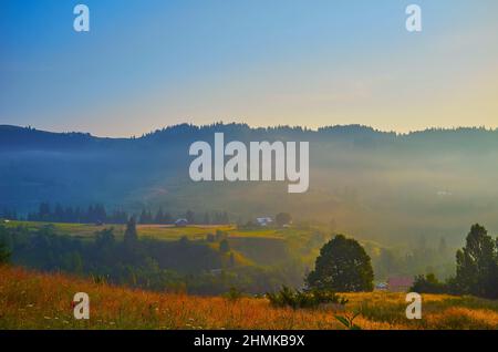 Les pentes vertes et les sommets des montagnes carpathes sont couverts de brouillard doré au lever du soleil, de forêts cachées, de prairies vertes et de petites maisons de Dzembronia v Banque D'Images