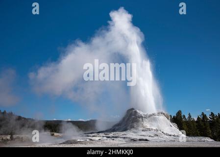 Le château de Geyser éclate dans le parc national de Yellowstone. Banque D'Images