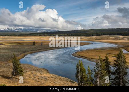La rivière Yellowstone traverse la vallée de Hayden dans le parc national de Yellowstone. Banque D'Images