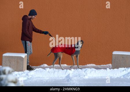 Un homme marche son sauvetage greyhound à Santa Fe, Nouveau-Mexique. Le chien porte un manteau d'hiver et un cache-cou ou un tube pour chien fabriqué par Voyager K9 Apparel. Banque D'Images