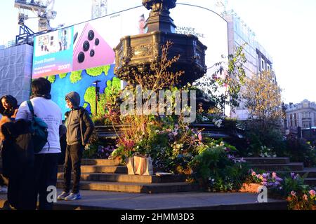 Des plantes et des fleurs couvrent la fontaine commémorative Shaftesbury, souvent connue sous le nom d'« Eros », à Piccadilly Circus, Londres, Royaume-Uni. Pour une journée le 10th février 2022, cette annonce a annoncé une expérience de réalité augmentée Green Planet qui a ouvert ses portes à Piccadilly Circus le 11th février 2022. Parmi les partenaires et les partisans de ce projet figurent BBC Earth, EE, Crown Estate, Factory 42, Kew Royal Botanic Gardens, Talesmith et dimension. Le projet propose la réservation de billets gratuits en ligne et dure jusqu'au 9th mars 2022. Un ambassadeur du projet, portant un t-shirt blanc (à gauche), informe les passants du projet. Banque D'Images