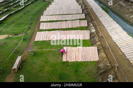 An Nhon Town, province de Binh Dinh, Vietnam - 3 janvier 2022: Les agriculteurs sèchent le papier de riz sur le terrain, une étape après la fabrication du papier de riz dans une ville de Nhon, Binh Banque D'Images