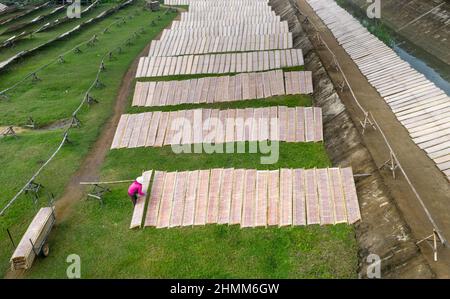 An Nhon Town, province de Binh Dinh, Vietnam - 3 janvier 2022: Les agriculteurs sèchent le papier de riz sur le terrain, une étape après la fabrication du papier de riz dans une ville de Nhon, Binh Banque D'Images