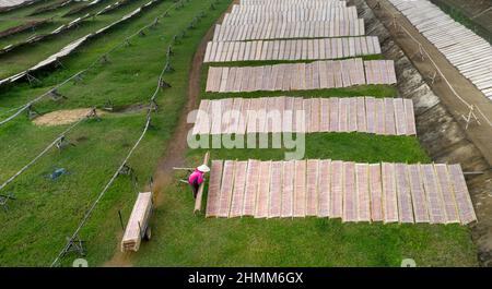 An Nhon Town, province de Binh Dinh, Vietnam - 3 janvier 2022: Les agriculteurs sèchent le papier de riz sur le terrain, une étape après la fabrication du papier de riz dans une ville de Nhon, Binh Banque D'Images