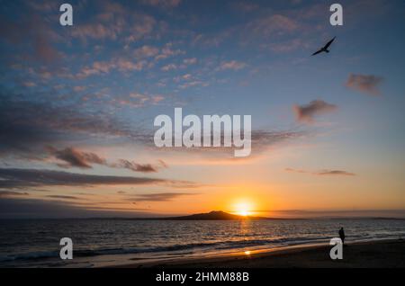 Le soleil se lève sur l'île Rangitoto. Personnes et chiens marchant sur Milford Beach, Auckland. Banque D'Images