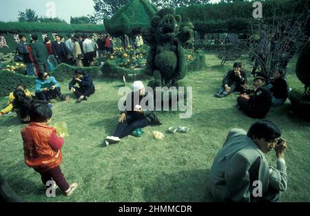 Les gens au Parc dans le Temple Mémorial à Lord Bao dans la ville de Kaifeng dans la province de Henan en Chine. Chine, Kaifeng, novembre 1996 Banque D'Images