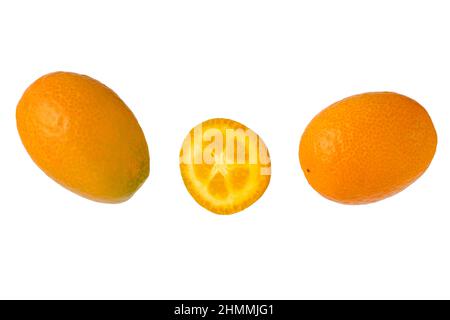 Photo en gros plan du fruit kumquat sur fond blanc isolé. Banque D'Images