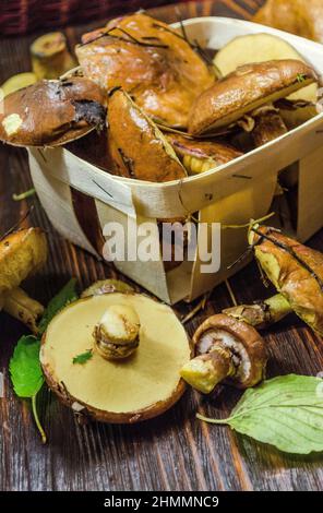 champignons huileux fraîchement cueillis dans un panier Banque D'Images