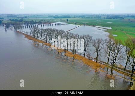 Duvensee tourbière en haute eau en janvier 2022, image de drone, Allemagne, Schleswig-Holstein Banque D'Images