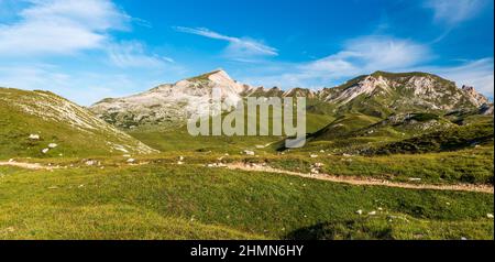 Matin d'été au-dessus de Senneshutte dans les Dolomites avec meados, sentier de randonnée et en partie des collines rocheuses Banque D'Images