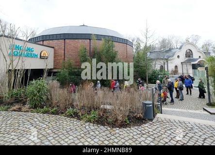 Leipzig, Allemagne. 11th févr. 2022. L'aquarium du zoo de Leipzig. La maison, qui a été rénovée depuis 2019 pour un coût d'environ dix millions d'euros, a ouvert aux visiteurs vendredi. Credit: Sebastian Willnow/dpa-Zentralbild/dpa/Alay Live News Banque D'Images