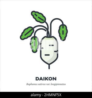 Daïkon ou radis blanc, racine avec feuilles icône légume, contour avec illustration de vecteur de style de remplissage de couleur Illustration de Vecteur