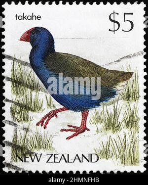 South Island Takahe sur le timbre-poste de la Nouvelle-Zélande Banque D'Images