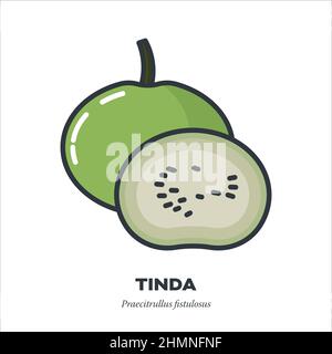 Tinda, ou Indian Squash ou Apple Gourd légume Icon, avec illustration vectorielle de style de remplissage de couleur Illustration de Vecteur