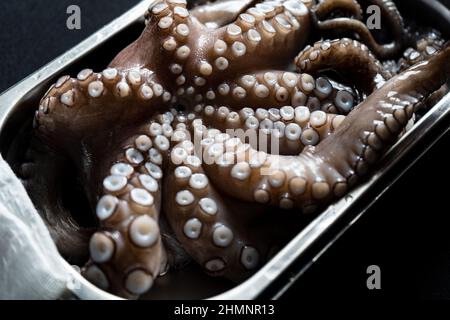 le poulpe est cru, prêt à cuire. Concept créatif de nourriture saine avec des photos de délicieux fruits de mer de pieuvre. Gros plan d'un poulpe frais Banque D'Images