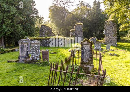 Les ruines de l'abbaye cistercienne de Saddell sur la péninsule de Kintyre, Argyll & Bute, Écosse Royaume-Uni Banque D'Images