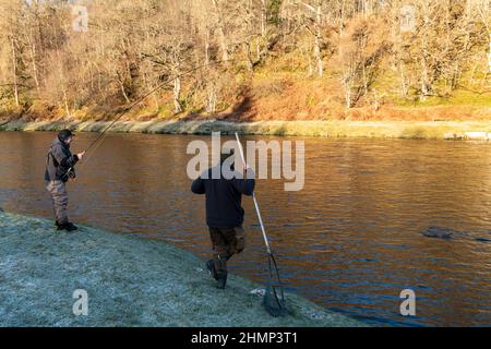 Abertour, Moray, Royaume-Uni. 11th févr. 2022. C'est une scène du jour d'ouverture officiel de la pêche au saumon sur la rivière Spey à Abertour, Moray, Écosse, le 11 février 2022. CONTENU DE L'IMAGE: Le saumon est pris crédit: JASPERIMAGE/Alamy Live News Banque D'Images