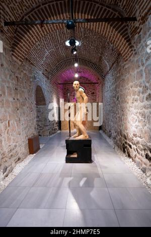 Ortakoy, Istanbul - TURQUIE - février 11 2022 : l'exposition "lignes de site" qui rassemble l'art, l'histoire de l'art, l'archéologie et l'anthropologie Banque D'Images