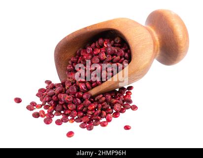 Graines de Sumac en pelle en bois, isolées sur fond blanc. Baie de Rhus sèche. Banque D'Images