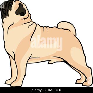 Vecteur simple de chien pichet Illustration de Vecteur