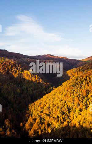 Paysage forestier d'automne, pic de Puigsacalm, la Garrotxa, Gérone, Espagne Banque D'Images