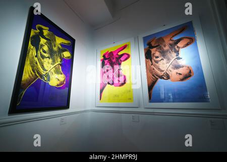 Madrid, Espagne. 11th févr. 2022. Vue des peintures des vaches au Palacio de Santa Bárbara, pendant l'exposition.l'exposition par la prochaine compagnie d'exposition, prend une visite historique et professionnelle de l'artiste Andy Warhol, un voyage à travers l'Amérique en 50s, 60s et 70s. Avec la participation d'Art Motors et le soutien de la Chambre de commerce italienne, l'exposition sera ouverte au public du 12 février au 5 juin. Crédit : SOPA Images Limited/Alamy Live News Banque D'Images