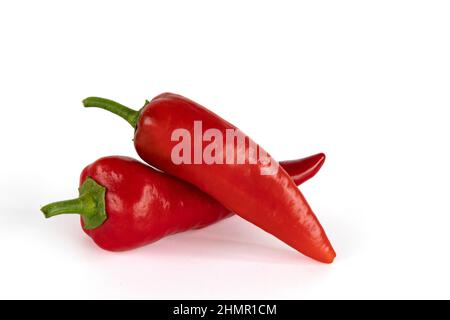 deux piments rouges isolés sur fond blanc, longs piments doux, légumes frais, vue latérale Banque D'Images