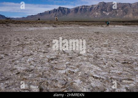 Des cristaux de sélénite à bords tranchants--la source du sable de gypse--ont détritus le lac Lucero laqué au Nouveau-Mexique. Banque D'Images