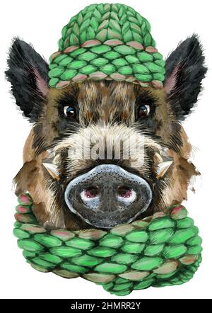 Joli chapeau de porc en tricot vert. Wild Boar pour les motifs du t-shirt. Illustration du marron aquarelle Banque D'Images