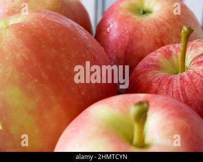 Macro photo de pommes rouges mûres de variétés de gala et de Ligol.Gros plan Apple. Banque D'Images