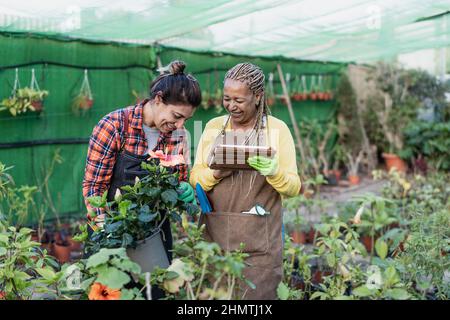 Les jardiniers féminins heureux travaillant ensemble dans la boutique de plantes et de fleurs Banque D'Images