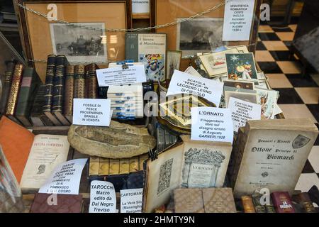 Peintures, livres, fossiles, cartes postales, boîtes et autres antiquités exposées dans la fenêtre de la librairie antique Gatto, Turin, Piémont, italie Banque D'Images