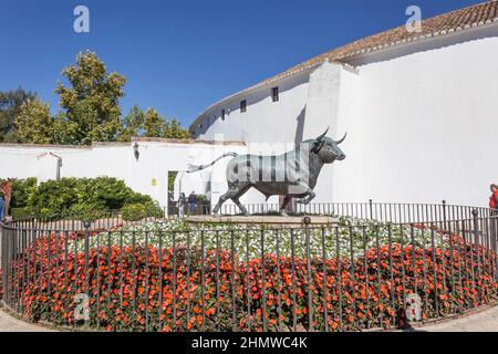 Ronda, province de Malaga, Espagne. Statue en bronze d'un taureau de combat, sculptée par Nacho Martin. Banque D'Images