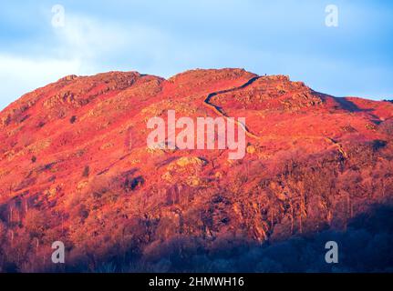 Lumière de l'aube sur Loughrigg avec un marcheur sur le sommet, Ambleside, Lake District, Royaume-Uni. Banque D'Images