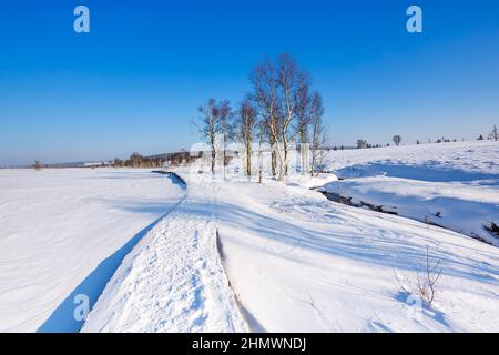 Hiver dans les Hautes Fens à Baraque Michel Banque D'Images