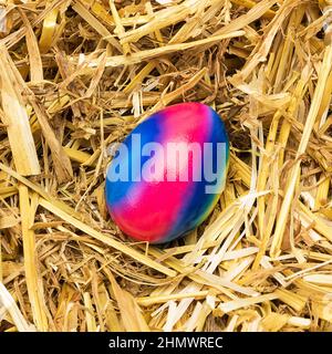 oeuf de pâques de couleur arc-en-ciel sur la paille Banque D'Images