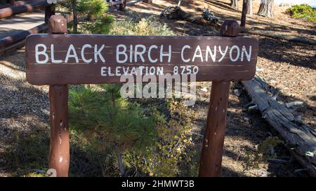 Black Birch Canyon à Bryce Canyon, Utah, États-Unis Banque D'Images