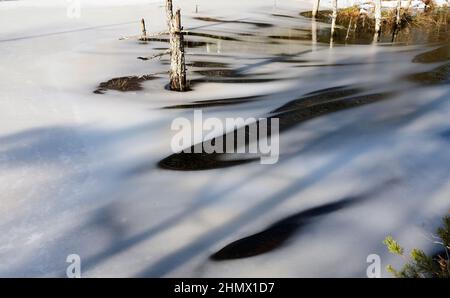 Marais couvert de glace dans la tourbière, parc national Kemeri, Lettonie Banque D'Images